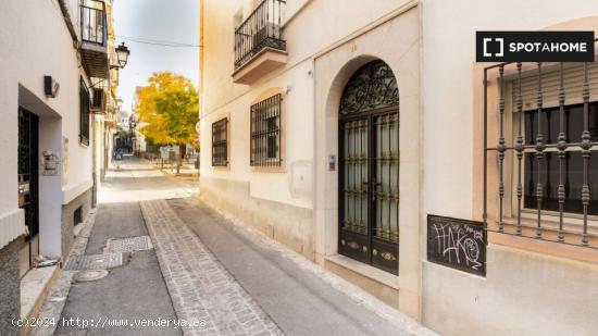 Apartamento de 1 dormitorio en alquiler en Granada - GRANADA