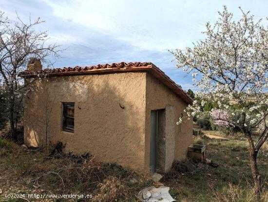  Finca de olivos centenarios en Valderrobres - TERUEL 