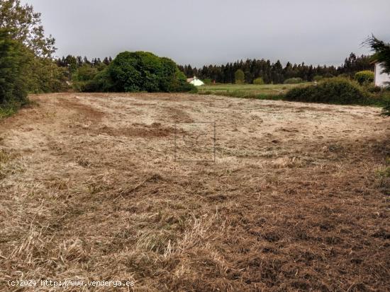 FINCA EDIFICABLE EN LAGO-VALDOVIÑO - A CORUÑA