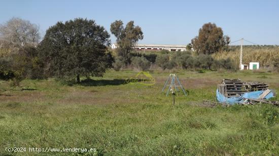 Casa de Campo en Gibraleon (los Judios) - HUELVA