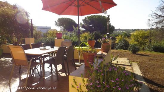 MAGNIFICA CASA EN ESTUPENDA FINCA - HUELVA