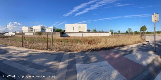 Solar urabano en Borriana - CASTELLON