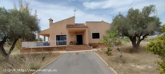 CHALET EN VALVERDE - ALICANTE