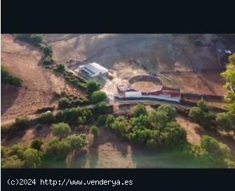  FINCA GANADERA DE 113 HECTAREAS, CON PLAZA DE TOROS Y NAVE - CADIZ 