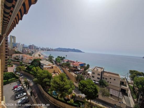 SE VENDE EL PISO EN PONIENTE, BENIDORM - ALICANTE