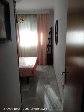 Se Vende en Puerto Real - CADIZ