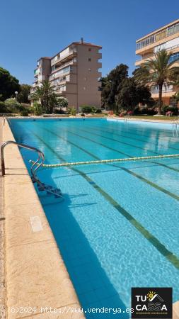 Coqueto apartamento en urbanización en Guardamar. - ALICANTE