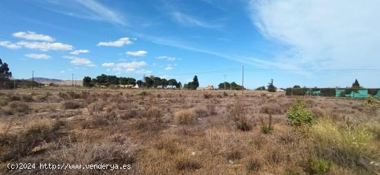  Terreno en la carretera del Elche al Altet - ALICANTE 