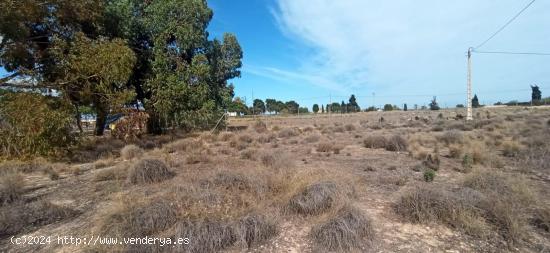 Terreno en la carretera del Elche al Altet - ALICANTE