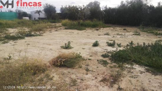 COQUETA PARCELITA RUSTICA DE 250Mt2 CON LUZ Y AGUA EN URBANIZACION PRIVADA - SEVILLA