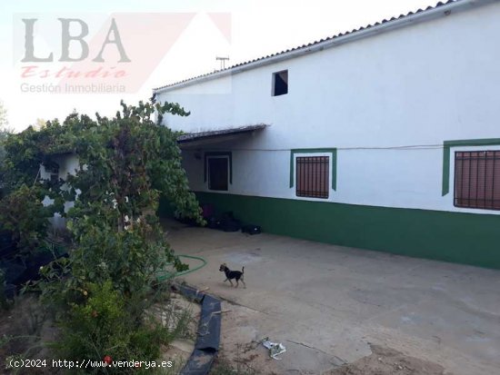 SE VENDE Casa de campo. - Bailén