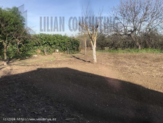  SE VENDE PARCELA ZONA HUEVAR DEL ALJARAFE - Aljarafe 