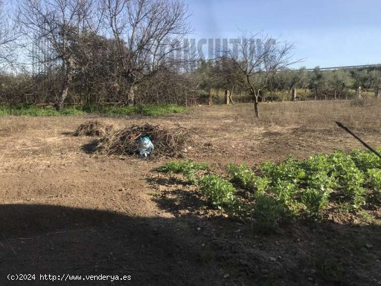 SE VENDE PARCELA ZONA HUEVAR DEL ALJARAFE - Aljarafe