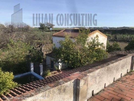 SE VENDE PARCELA ZONA HUEVAR DEL ALJARAFE - Aljarafe