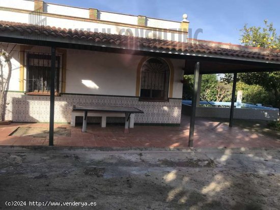 SE VENDE PARCELA ZONA HUEVAR DEL ALJARAFE - Aljarafe