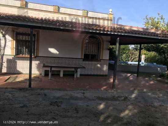 SE VENDE PARCELA ZONA HUEVAR DEL ALJARAFE - Aljarafe