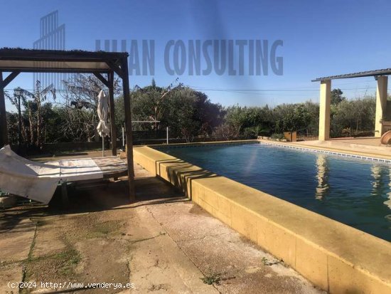 Estupendo chalet  venta zona el Viso del Alcor Sevilla - La Campiña