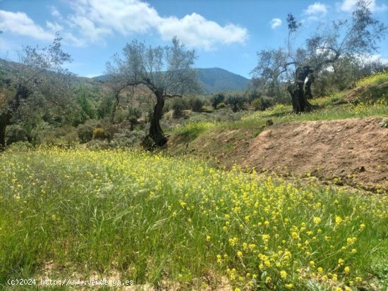 Casa de campo-Masía en Venta en Pinos Del Valle Granada Ref: cor060b