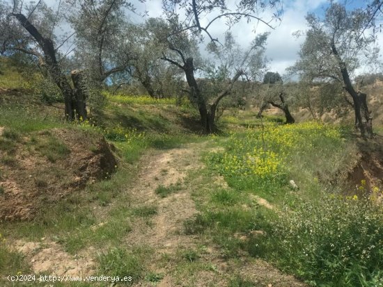 Casa de campo-Masía en Venta en Pinos Del Valle Granada Ref: cor060b