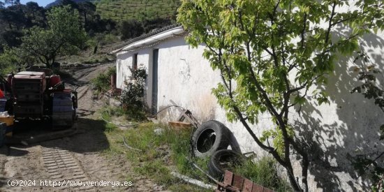 Casa de pueblo en Venta en Pinos Del Valle Granada Ref: cor901