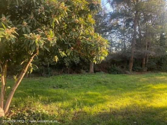 Finca con vivienda, restaurante y terreno en Bellaterra.