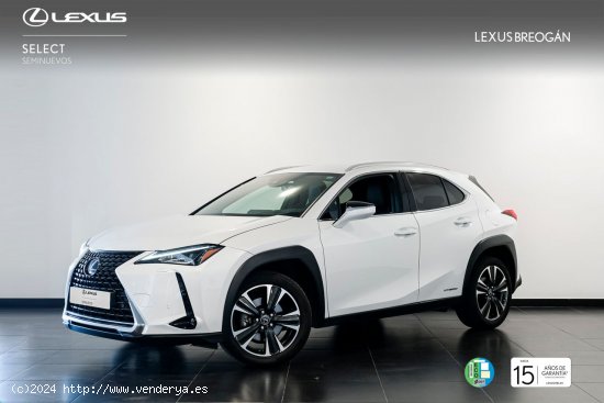 Lexus UX 250H EXECUTIVE PLUS - A Coruña