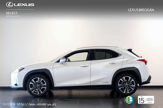 Lexus UX 250H EXECUTIVE PLUS - A Coruña