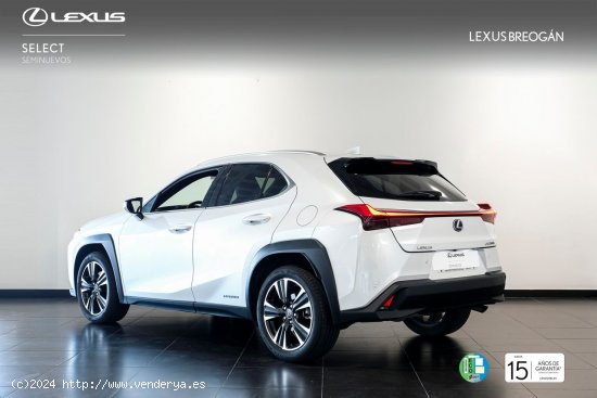 Lexus UX 250H EXECUTIVE PLUS - A Coruña