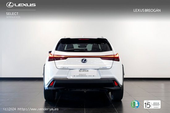 Lexus UX 250H EXECUTIVE PLUS - A Coruña