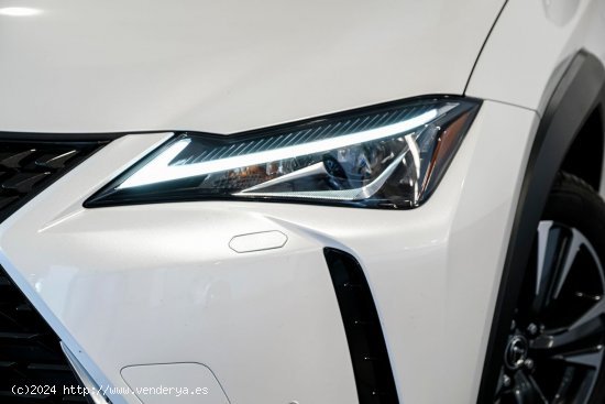 Lexus UX 250H EXECUTIVE PLUS - A Coruña