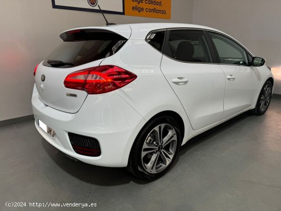 Kia Ceed VGT 1.6 CRDI 136cv - Paterna