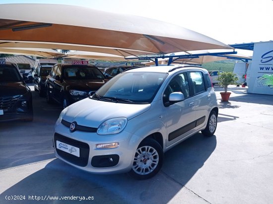 Fiat Panda 1.2  LOUNGE - Manilva