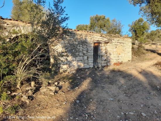 OCASION GRAN  FINCA EN PRODUCCION DE 8,4 HAS. EN CORBERA D´EBRE - TARRAGONA