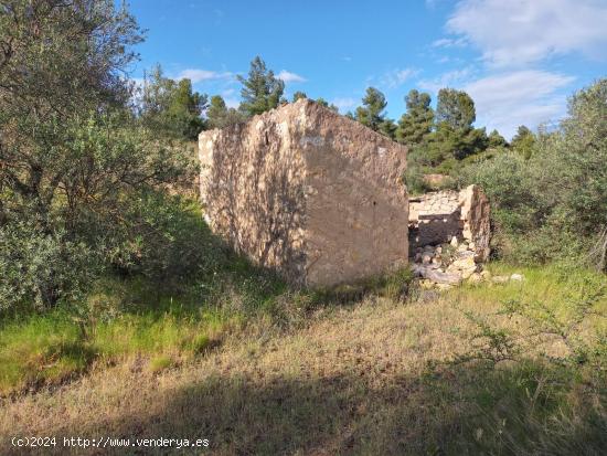  OPORTUNIDAD FINCA AGRICOLA DE 2 HAS EN VINEBRE - TARRAGONA 