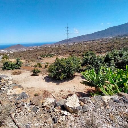 Terreno Malpais de Arafo - SANTA CRUZ DE TENERIFE