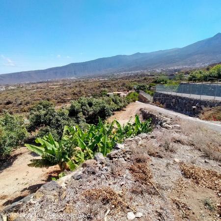 Terreno Malpais de Arafo - SANTA CRUZ DE TENERIFE