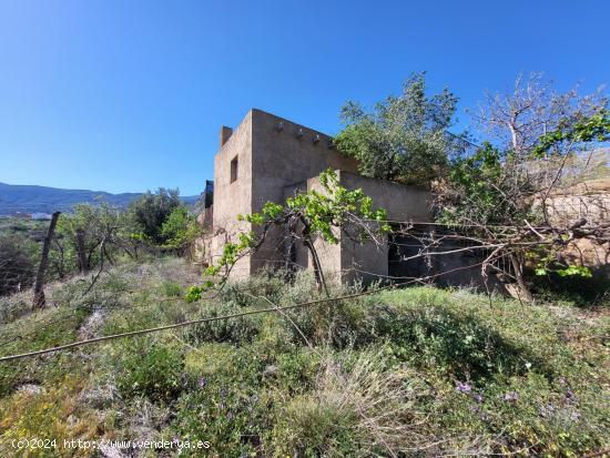  SE VENDE TERRENO CON ALMACEN Y OLIVOS EN ABRUCENA - ALMERIA 