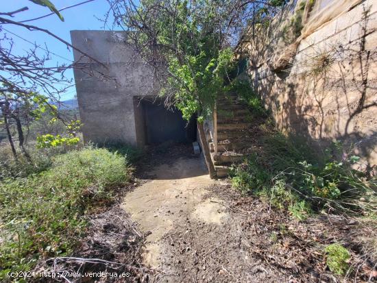 SE VENDE TERRENO CON ALMACEN Y OLIVOS EN ABRUCENA - ALMERIA