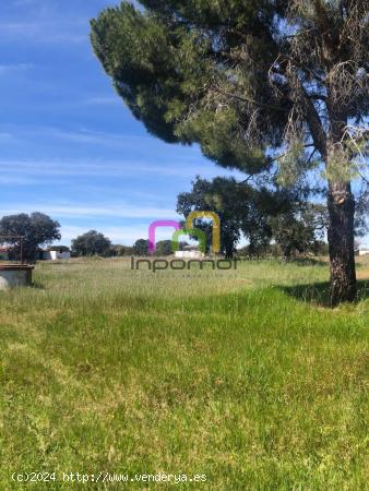 MARAVILLOSA PARCELA EN EL MANANTÍO!! - BADAJOZ