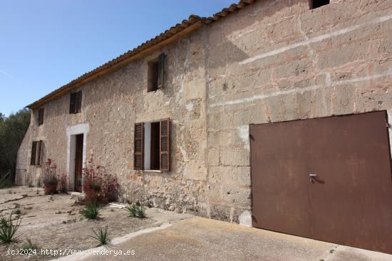 SE VENDE AMPLIA FINCA RÚSTICA EN PETRA - BALEARES