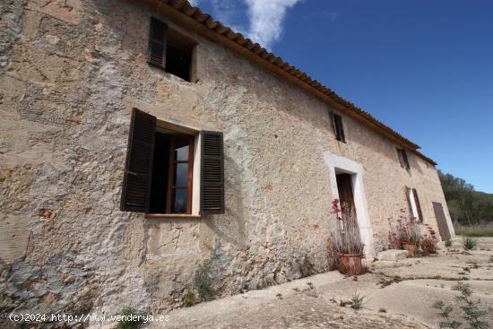 SE VENDE AMPLIA FINCA RÚSTICA EN PETRA - BALEARES