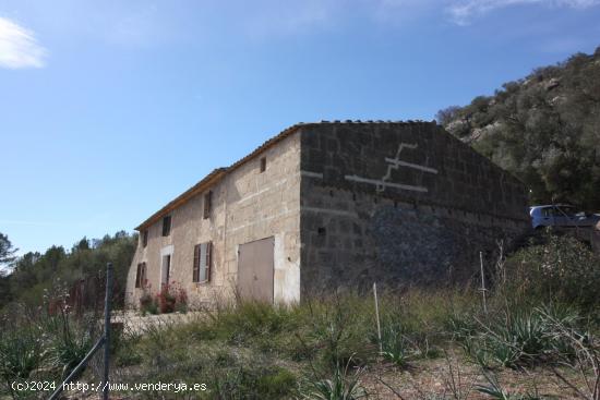 SE VENDE AMPLIA FINCA RÚSTICA EN PETRA - BALEARES