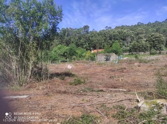 Se vende finca de 82000 metros cuadrados - PONTEVEDRA