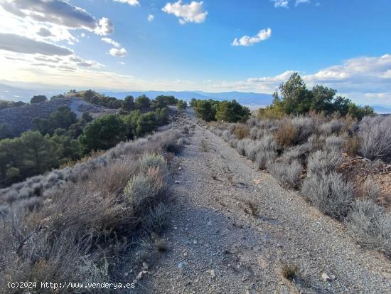 Finca de Monte de 46 Héctareas. - MURCIA