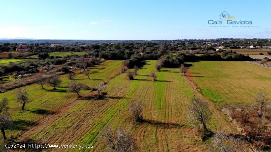 Terreno rústico muy cerca de Ses Salines - BALEARES