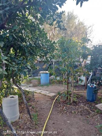 Finca rústica con casa en Santa Lucía - LAS PALMAS