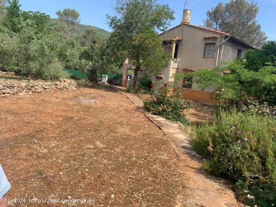 TU CASA CON TERRENO EN LA LLACUNA (VILLALONGA) - VALENCIA