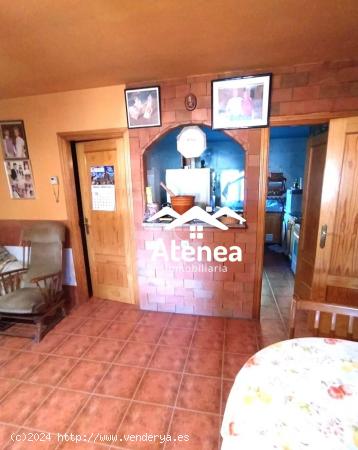 VENTA DE PARCELA CON NAVE - ALBACETE