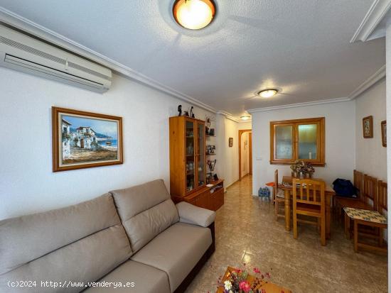  APARTAMENTO EN PLAYA DEL CURA CERCA DE LA PLAYA. 2 DORMITORIOS. SUR. PLAYA A 500 METROS. - ALICANTE 