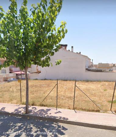 Terreno en Molina de segura - MURCIA